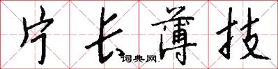 片长薄技怎么写好看