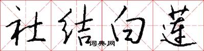 社结白莲怎么写好看