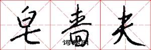 皂啬夫怎么写好看