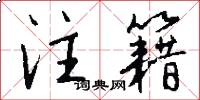 注籍怎么写好看