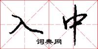 入中怎么写好看