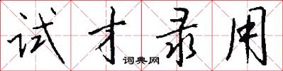 试才录用怎么写好看