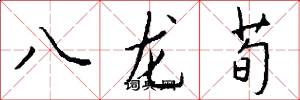 八龙荀怎么写好看