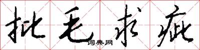 批毛求疵怎么写好看