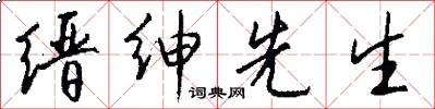 缙绅先生怎么写好看