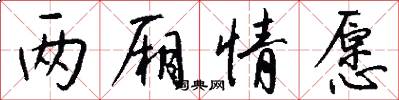 两厢情愿怎么写好看
