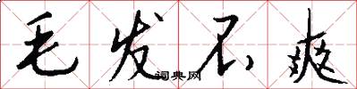 毛发不爽怎么写好看