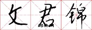 文君锦怎么写好看