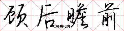 顾后瞻前怎么写好看