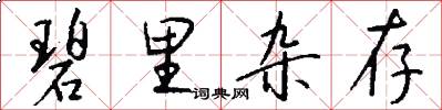 碧里杂存怎么写好看