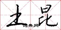 土昆怎么写好看