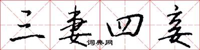 三妻四妾怎么写好看