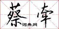 蔡牵怎么写好看