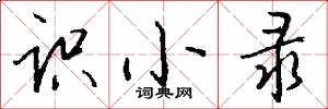 识小录怎么写好看