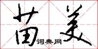 苗美怎么写好看