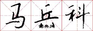 马兵科怎么写好看
