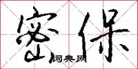 密保怎么写好看