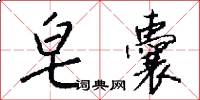 皂囊怎么写好看