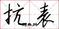 抗表怎么写好看