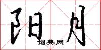 阳月怎么写好看