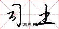 司土怎么写好看