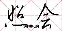 照会怎么写好看