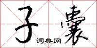 子囊怎么写好看