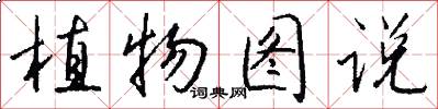 植物图说怎么写好看