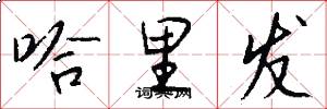 哈里发怎么写好看