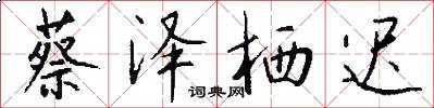 蔡泽栖迟怎么写好看
