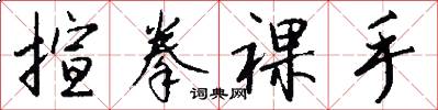 揎拳裸手怎么写好看