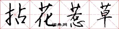 拈花惹草怎么写好看