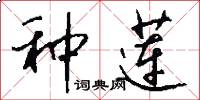 种莲怎么写好看