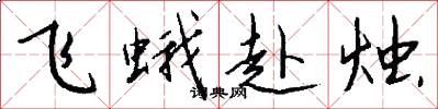 飞蛾赴烛怎么写好看