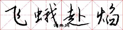 飞蛾赴焰怎么写好看