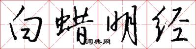 白蜡明经怎么写好看
