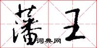 藩王怎么写好看