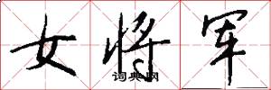 女将军怎么写好看