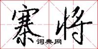 寨将怎么写好看