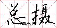 总摄怎么写好看