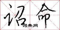诏命怎么写好看