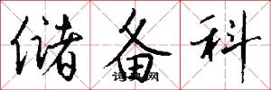 储备科怎么写好看