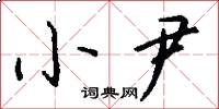 小尹怎么写好看