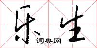 乐生怎么写好看