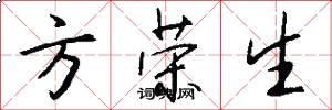 方荣生怎么写好看