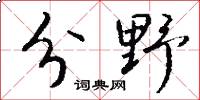 分野怎么写好看