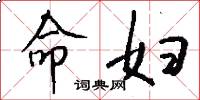 命妇怎么写好看