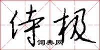侍极怎么写好看
