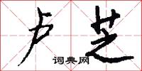 卢芝怎么写好看