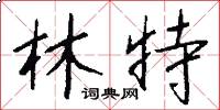 林特怎么写好看